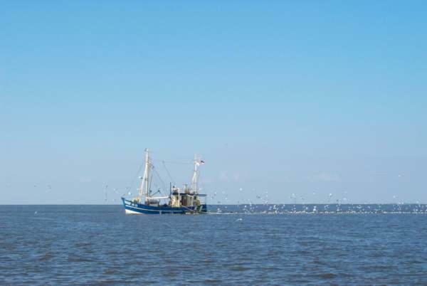 Nonnenganshauser Friedrichskoog Extérieur photo